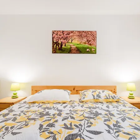 Apartmaji Mausi