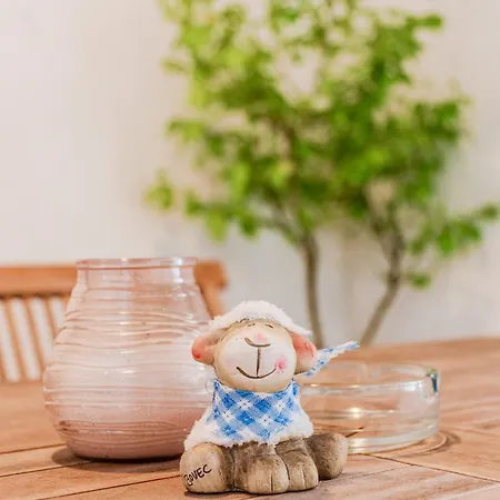 Apartmaji Mausi Bovec